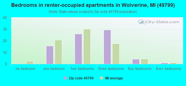 Bedrooms in renter-occupied apartments in Wolverine, MI (49799) 
