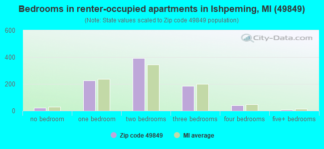 Bedrooms in renter-occupied apartments in Ishpeming, MI (49849) 