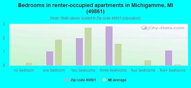 Bedrooms in renter-occupied apartments in Michigamme, MI (49861) 