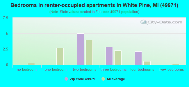 Bedrooms in renter-occupied apartments in White Pine, MI (49971) 