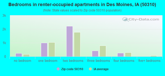Bedrooms in renter-occupied apartments in Des Moines, IA (50310) 