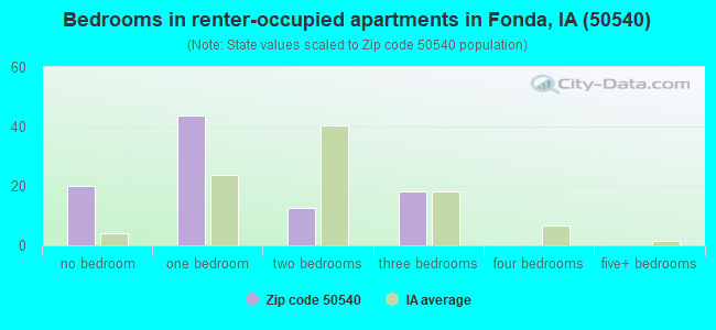 Bedrooms in renter-occupied apartments in Fonda, IA (50540) 