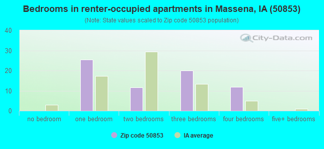 Bedrooms in renter-occupied apartments in Massena, IA (50853) 