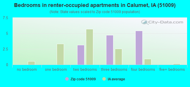 Bedrooms in renter-occupied apartments in Calumet, IA (51009) 