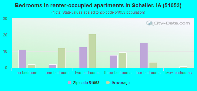 Bedrooms in renter-occupied apartments in Schaller, IA (51053) 