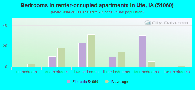 Bedrooms in renter-occupied apartments in Ute, IA (51060) 