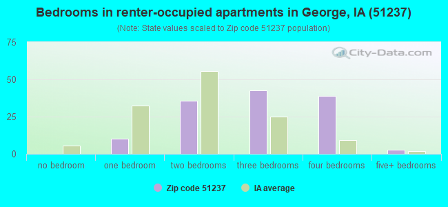 Bedrooms in renter-occupied apartments in George, IA (51237) 