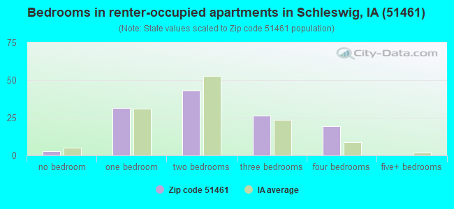 Bedrooms in renter-occupied apartments in Schleswig, IA (51461) 