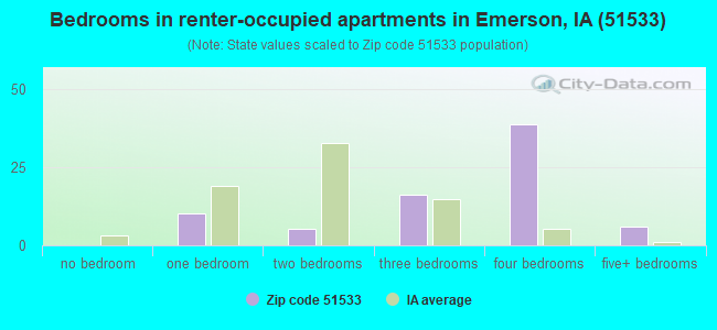 Bedrooms in renter-occupied apartments in Emerson, IA (51533) 