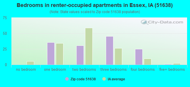 Bedrooms in renter-occupied apartments in Essex, IA (51638) 