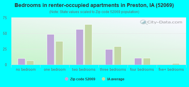 Bedrooms in renter-occupied apartments in Preston, IA (52069) 