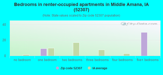 Bedrooms in renter-occupied apartments in Middle Amana, IA (52307) 