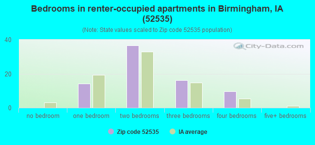 Bedrooms in renter-occupied apartments in Birmingham, IA (52535) 