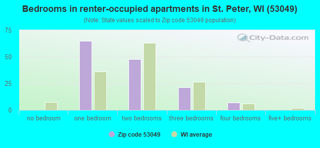 Bedrooms in renter-occupied apartments in St. Peter, WI (53049) 