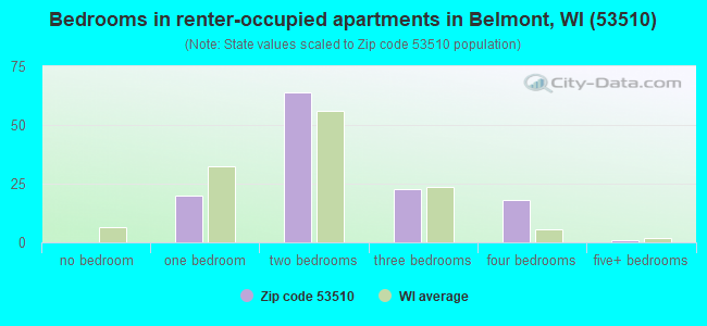 Bedrooms in renter-occupied apartments in Belmont, WI (53510) 