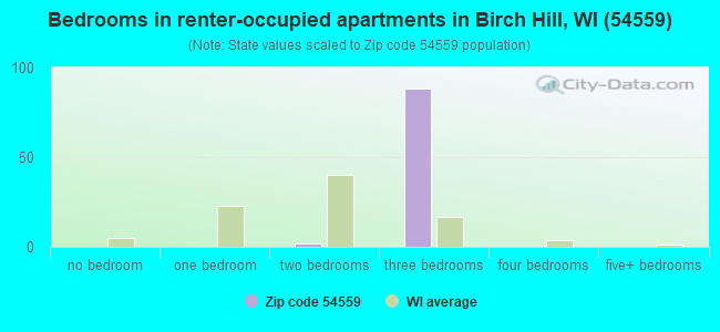 Bedrooms in renter-occupied apartments in Birch Hill, WI (54559) 