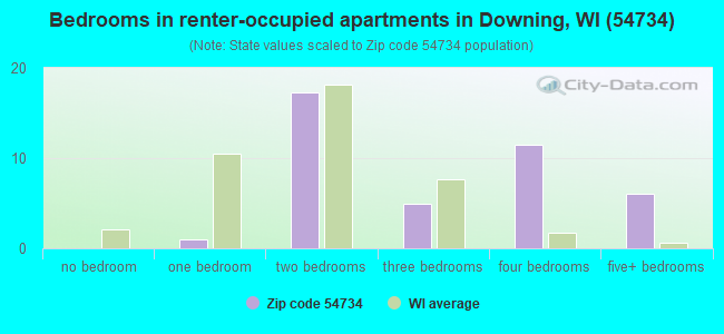 Bedrooms in renter-occupied apartments in Downing, WI (54734) 