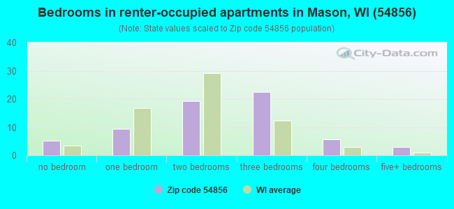 Bedrooms in renter-occupied apartments in Mason, WI (54856) 