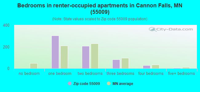 Bedrooms in renter-occupied apartments in Cannon Falls, MN (55009) 