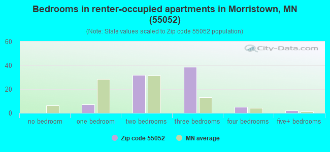 Bedrooms in renter-occupied apartments in Morristown, MN (55052) 