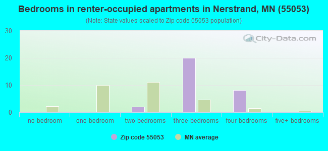 Bedrooms in renter-occupied apartments in Nerstrand, MN (55053) 