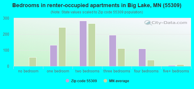 Bedrooms in renter-occupied apartments in Big Lake, MN (55309) 