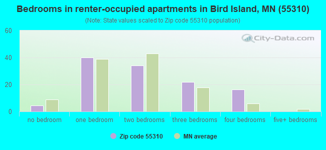 Bedrooms in renter-occupied apartments in Bird Island, MN (55310) 