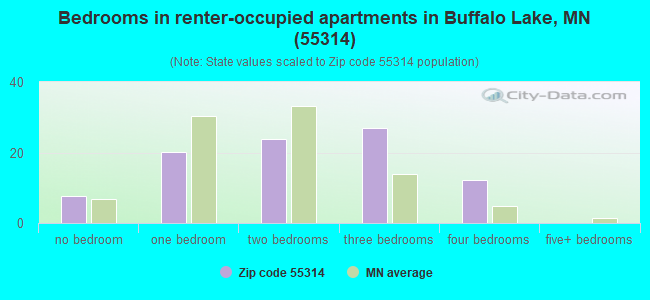 Bedrooms in renter-occupied apartments in Buffalo Lake, MN (55314) 