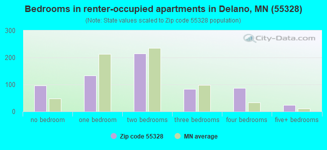 Bedrooms in renter-occupied apartments in Delano, MN (55328) 