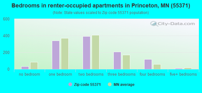 Bedrooms in renter-occupied apartments in Princeton, MN (55371) 