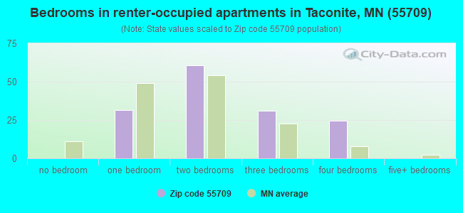 Bedrooms in renter-occupied apartments in Taconite, MN (55709) 