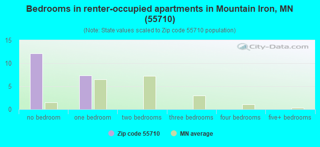 Bedrooms in renter-occupied apartments in Mountain Iron, MN (55710) 