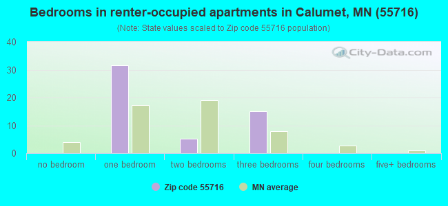 Bedrooms in renter-occupied apartments in Calumet, MN (55716) 