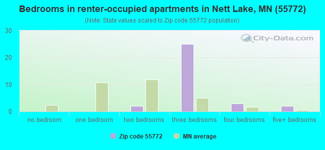 Bedrooms in renter-occupied apartments in Nett Lake, MN (55772) 