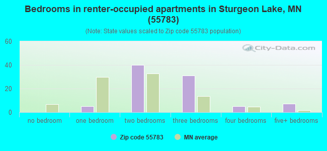 Bedrooms in renter-occupied apartments in Sturgeon Lake, MN (55783) 