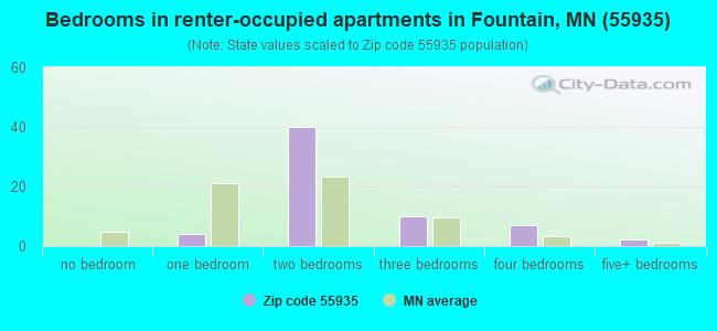 Bedrooms in renter-occupied apartments in Fountain, MN (55935) 