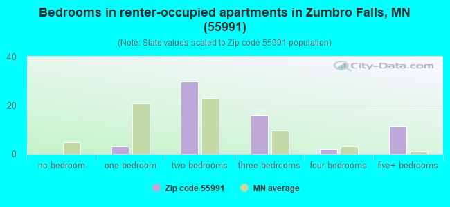Bedrooms in renter-occupied apartments in Zumbro Falls, MN (55991) 