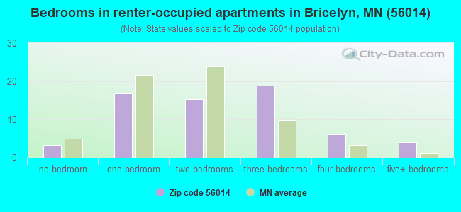 Bedrooms in renter-occupied apartments in Bricelyn, MN (56014) 