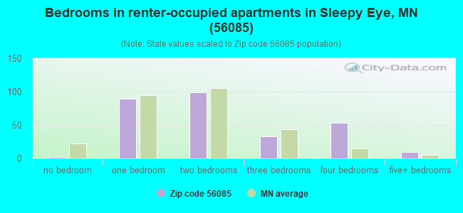 Bedrooms in renter-occupied apartments in Sleepy Eye, MN (56085) 