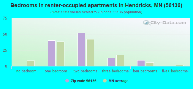 Bedrooms in renter-occupied apartments in Hendricks, MN (56136) 