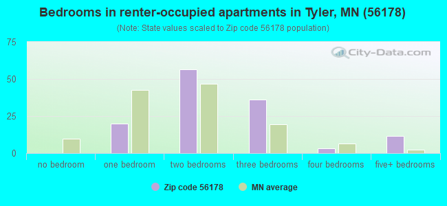 Bedrooms in renter-occupied apartments in Tyler, MN (56178) 