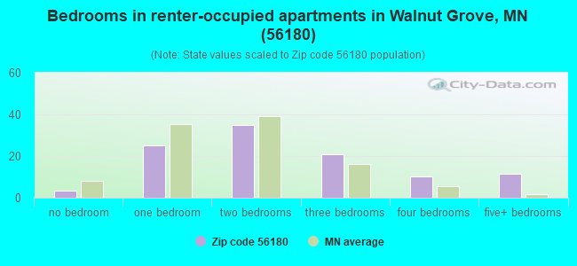 Bedrooms in renter-occupied apartments in Walnut Grove, MN (56180) 