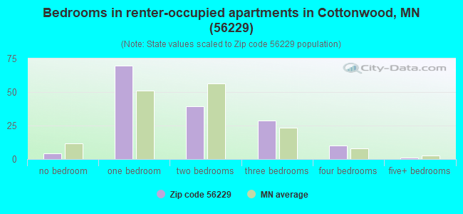 Bedrooms in renter-occupied apartments in Cottonwood, MN (56229) 