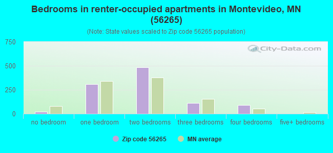 Bedrooms in renter-occupied apartments in Montevideo, MN (56265) 