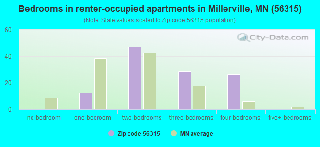 Bedrooms in renter-occupied apartments in Millerville, MN (56315) 