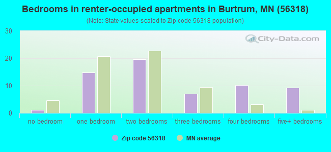 Bedrooms in renter-occupied apartments in Burtrum, MN (56318) 