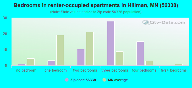 Bedrooms in renter-occupied apartments in Hillman, MN (56338) 