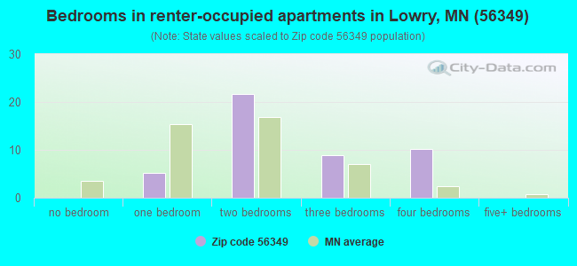 Bedrooms in renter-occupied apartments in Lowry, MN (56349) 