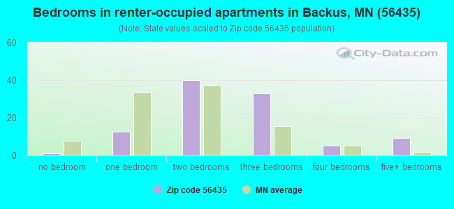 Bedrooms in renter-occupied apartments in Backus, MN (56435) 