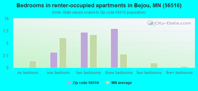 Bedrooms in renter-occupied apartments in Bejou, MN (56516) 